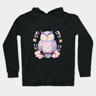 Sleeping owl art, pastel colors Hoodie